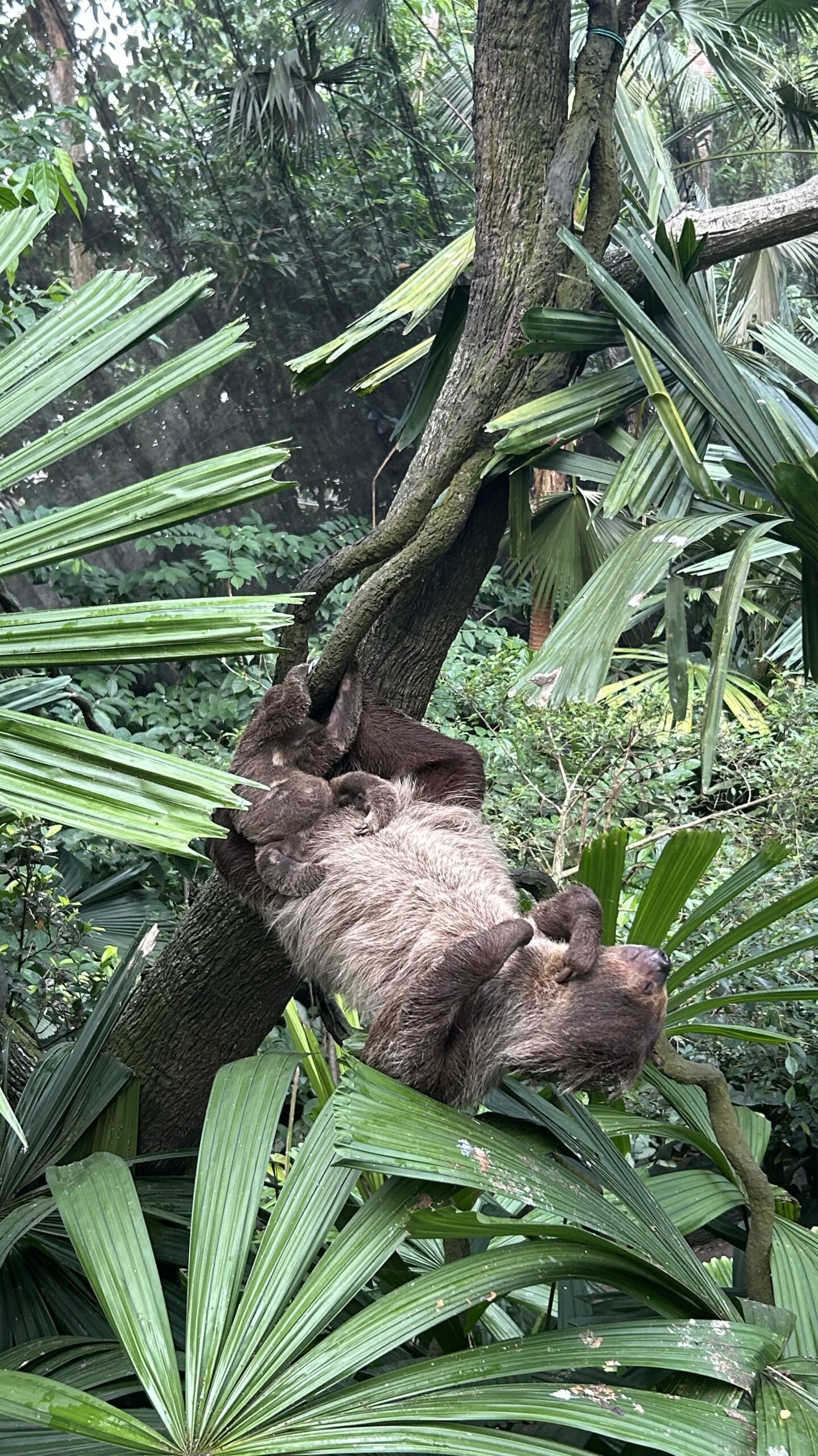 Que faire en 4 jours à Singapour ?