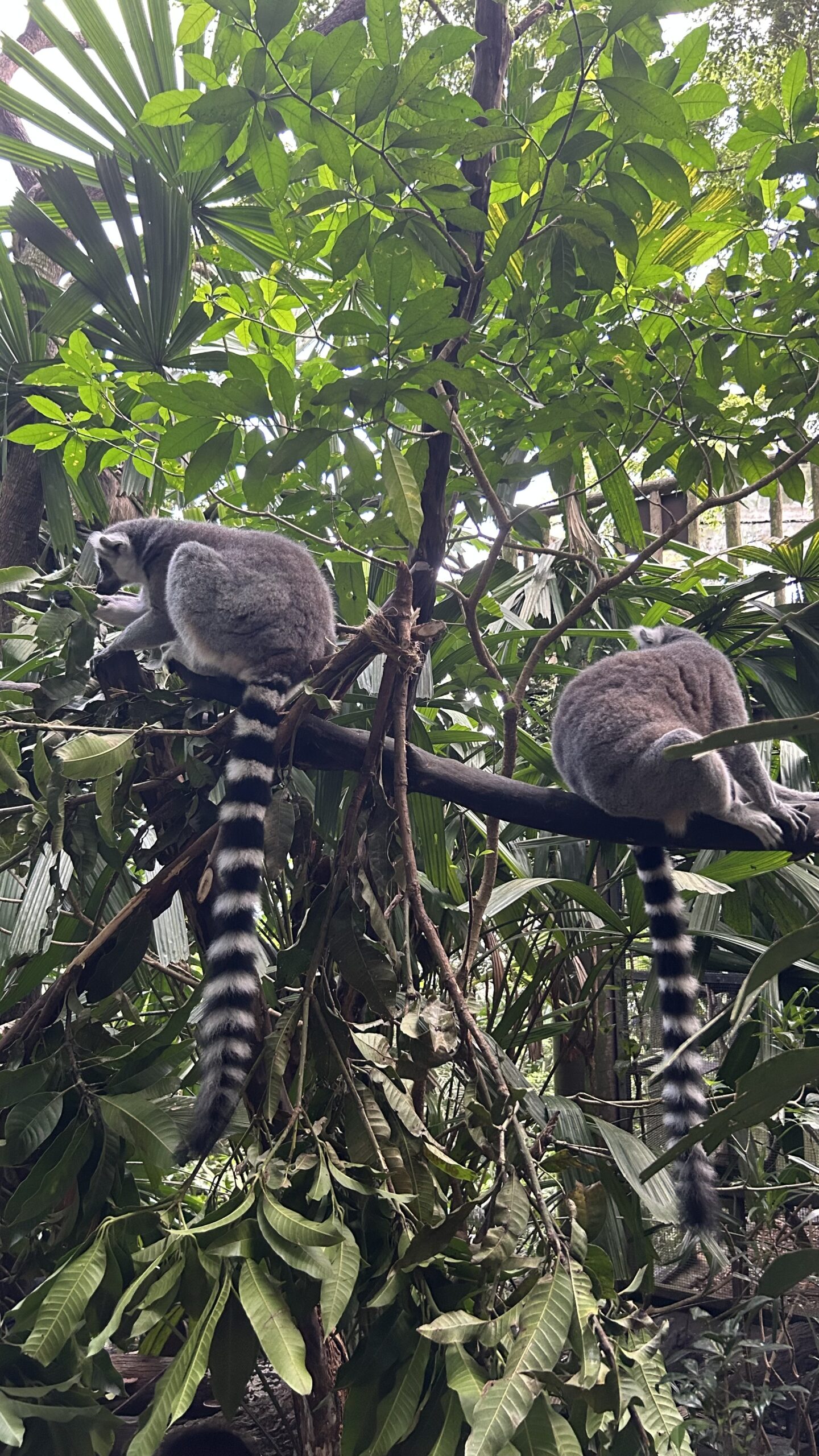 Que faire en 4 jours à Singapour ?